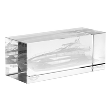 Load image into Gallery viewer, 100 Yacht Crystal Paper Weight