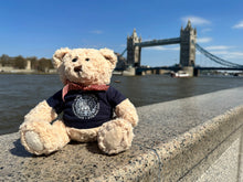 Load image into Gallery viewer, Sunseeker Limited Edition Teddy Bear – ‘Arbie’

